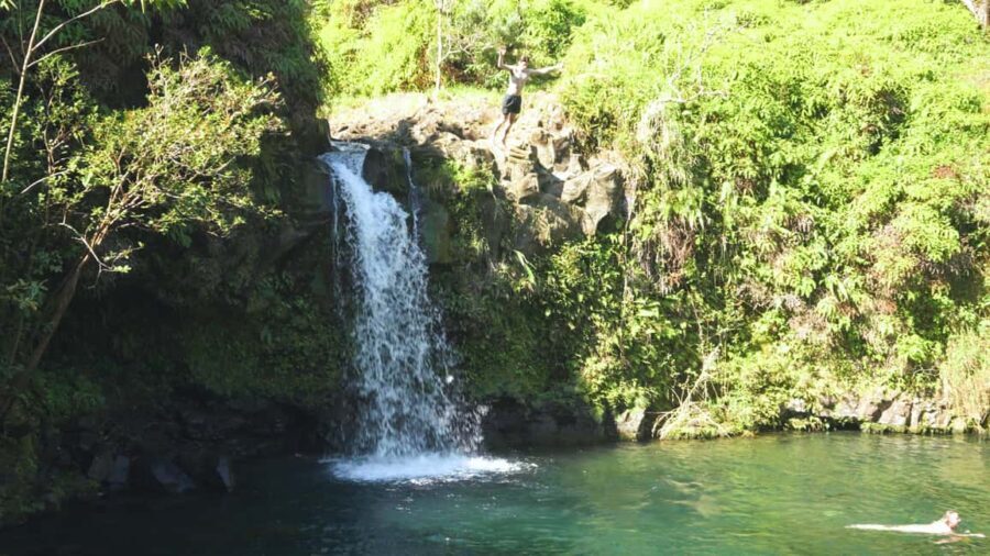 Maui: Private Road to Hana Rainforest and Waterfall Tour - The Sum Up