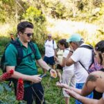 Maui: Rainforest Waterfalls Guided Hike with Picnic Lunch - In-Depth Review