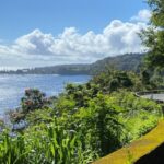 Maui: Road to Hana Private Adventure Tour with Luxury SUV - Why Choose This Tour?