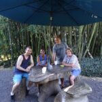 Maui: Road to Hana Waterfalls Tour with Lunch - A Detailed Look at the Tour Experience