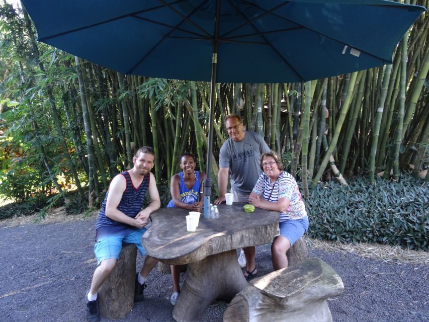 Maui: Road to Hana Waterfalls Tour with Lunch - A Detailed Look at the Tour Experience