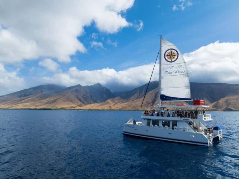 Maui: Snorkel Tour to Coral Gardens - Authentic Experiences and What Travelers Say