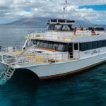 Maui Snorkeling Molokini Crater and Turtle Town - Final thoughts