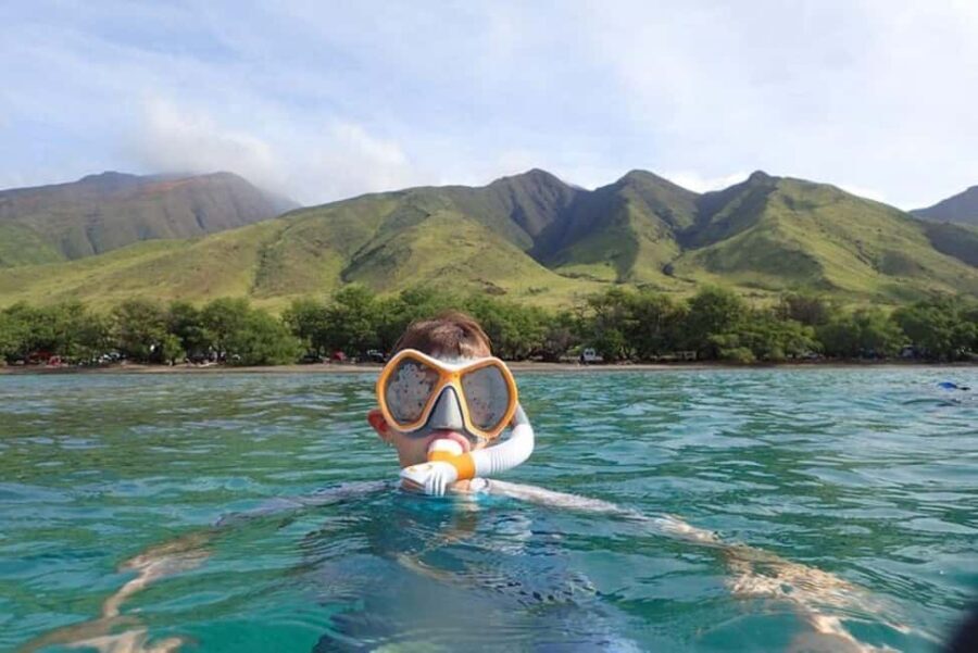 Maui: Snorkeling Tour with Gear and Instructor - Why Choose This Tour?