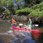 Maui South Shore Premier Kayak and Snorkel Tour from Makena Beach - Why This Tour Offers Value