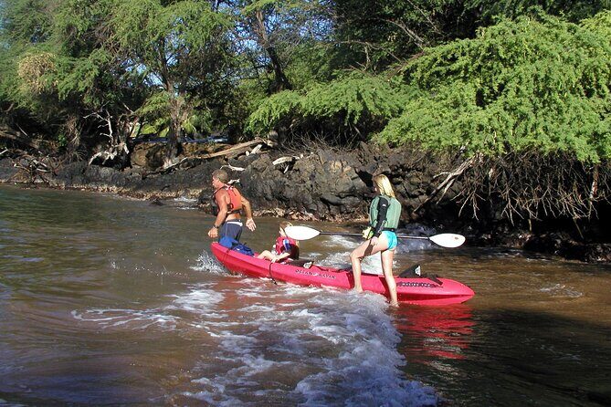 Maui South Shore Premier Kayak and Snorkel Tour from Makena Beach - Why This Tour Offers Value