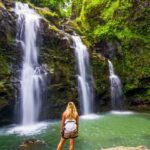 Maui Tropical Rainforest Eco Tour with Lunch - Exploring the Maui Tropical Rainforest Eco Tour in Detail