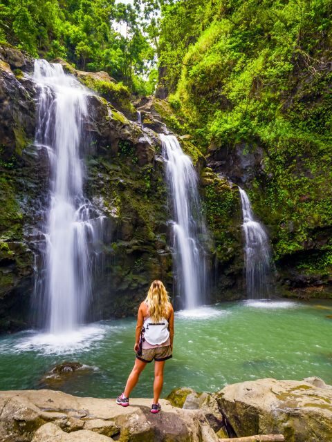 Maui Tropical Rainforest Eco Tour with Lunch - Exploring the Maui Tropical Rainforest Eco Tour in Detail