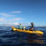 Maui: Turtle Town Kayak and Snorkel Tour - Why This Tour Stands Out