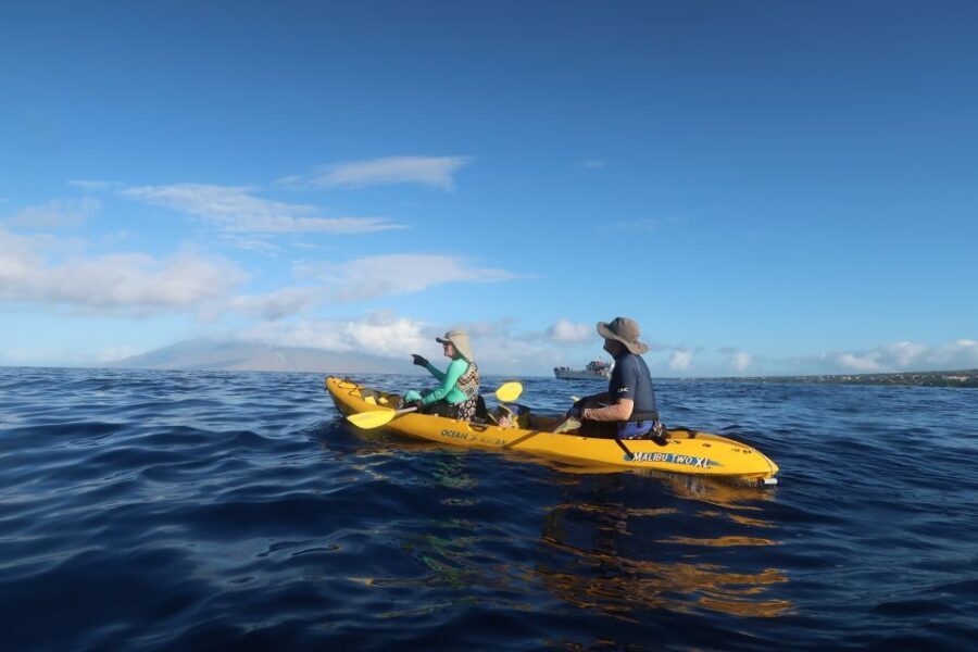 Maui: Turtle Town Kayak and Snorkel Tour - Why This Tour Stands Out
