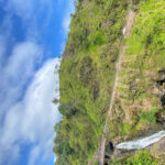 Maui: Van Day Trip to Hana with Local Guide and Lunch - Is it Worth the Cost?
