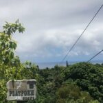 Maui Zipline Eco Adventure: 8 Lines through the Jungle - The Sum Up