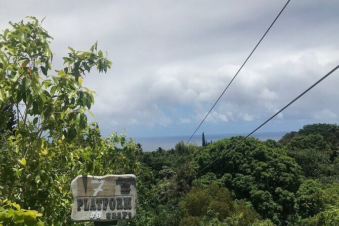 Maui Zipline Eco Adventure: 8 Lines through the Jungle - The Sum Up