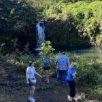 Mauis Sea Turtles, Waterfalls and Road to Hana Adventure - Analyzing the Value
