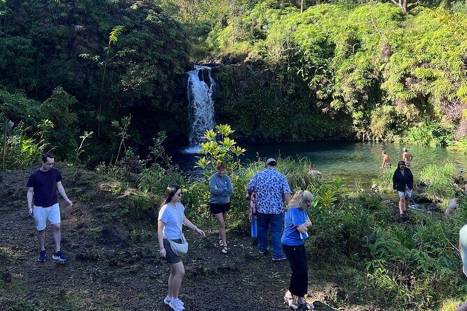 Mauis Sea Turtles, Waterfalls and Road to Hana Adventure - Analyzing the Value