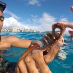 Mauna Kea 3hr Two Stop Sealife Snorkel Adventure - In-Depth Review of the Mauna Kea Snorkel Adventure