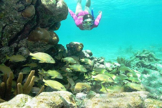 Mayan Adventure from Cancun - Practical Information and Tips