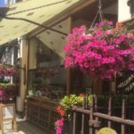 Mayfair and Belgravia Private Walking Tour - Why This Tour Offers Great Value