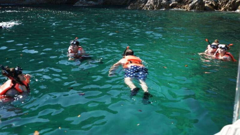 Mazatlan 3 Islands Snorkeling and Bird Watching Tour - Who Should Consider This Tour?
