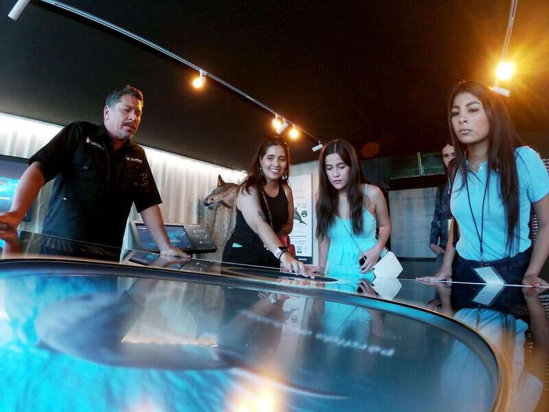 Mazatlán: MUNBA Interactive Ocean Museum Entry Ticket - What to Expect: A Well-Structured, Engaging Visit