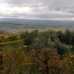 Mazzurega: Winery Tour with Tasting and Food Pairing - Why This Tour Works for Travelers
