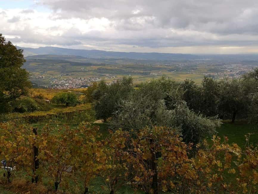 Mazzurega: Winery Tour with Tasting and Food Pairing - Why This Tour Works for Travelers