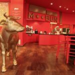 MBun Hamburger Shop and Open Bus Turin - Who Will Enjoy This Tour Most?