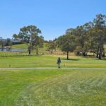 McLaren Vale and Historic Hahndorf Wine Tour - Authenticity and Experience