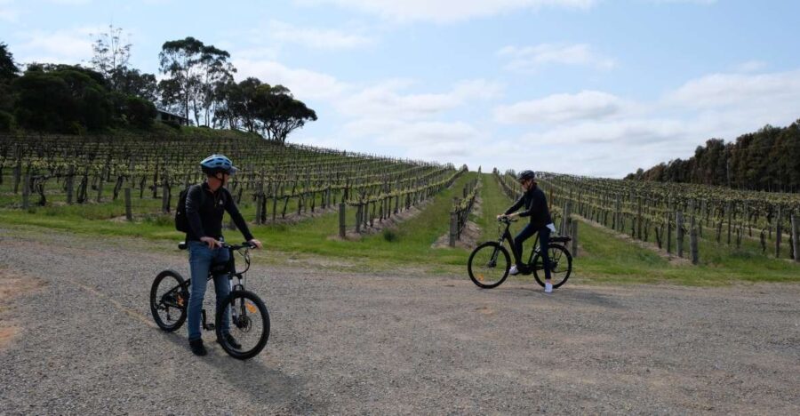 McLaren Vale: E-Bike Rental to Explore the Vineyards - A Detailed Look at the McLaren Vale E-Bike Experience