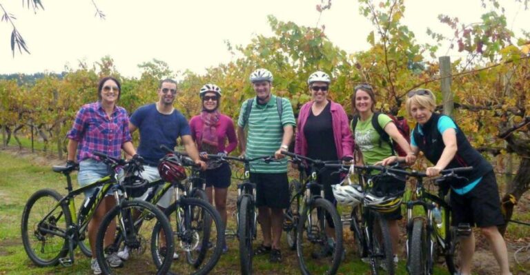 Mclaren Vale Hills Vines and Wines Bike Tour from Adelaide - The Ride Begins: Forest and Hills