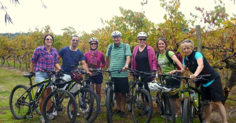 Mclaren Vale Hills Vines and Wines Bike Tour from Adelaide - The Ride Begins: Forest and Hills