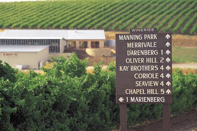 McLaren Vale Shiraz Trail Cycling Tour from Adelaide - A Closer Look at the McLaren Vale Shiraz Trail Cycling Tour