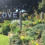 McLaren Vale: Small Group Wine Tour (Includes Lunch) - The Heart of McLaren Vale: An Authentic Wine Destination