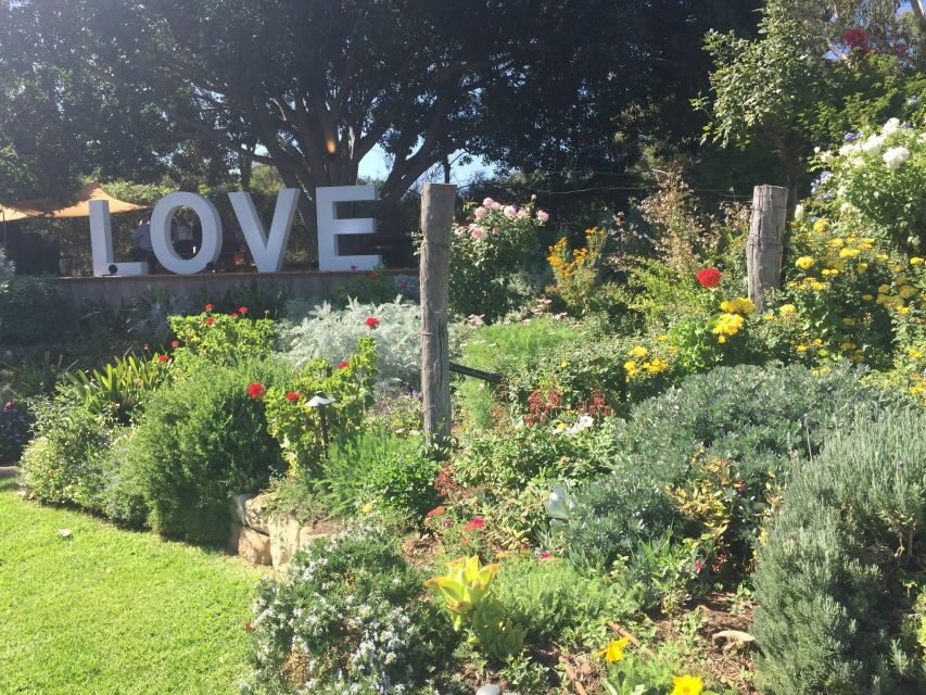 McLaren Vale: Small Group Wine Tour (Includes Lunch) - The Heart of McLaren Vale: An Authentic Wine Destination