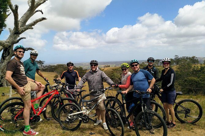 McLaren Vale Wine Tour by Bike - A Deep Dive into the McLaren Vale Bike Tour
