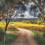 McLaren Vale Winery Small Group Tour with Wine Tasting and Lunch - The Sum Up: Who Should Consider This Tour?