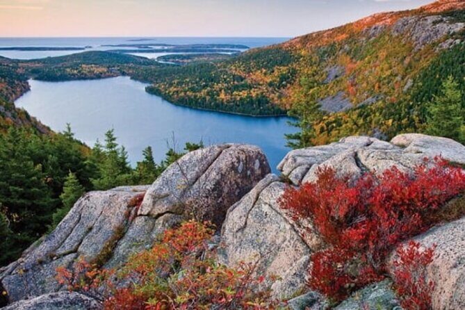 MDI Private Discovery Tour - Explore Beyond Acadia (five hours) - What to Expect from the Experience