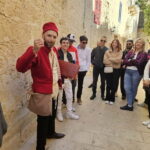 Mdina: Medieval Mayhem 15th-Century Malta Walking Tour - Who Is This Tour For?