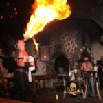 Medieval Show & Dinner, Castle & Brewery tour, Hotel pickup - Who Will Love This Tour?