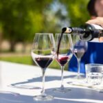 Medoc Afternoon Wine Tour, 2 Wineries, tastings & delicacies - The Bottom Line