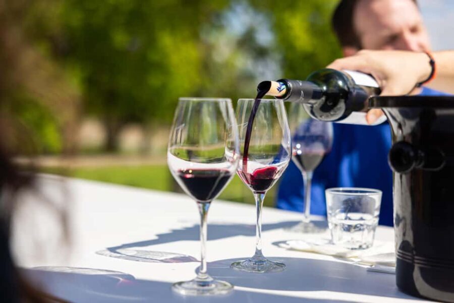 Medoc Afternoon Wine Tour, 2 Wineries, tastings & delicacies - The Bottom Line