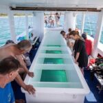 Medulin: Private Glass Bottom Boat Tour to Levan Island - The Value of a Private Boat Tour in Croatia