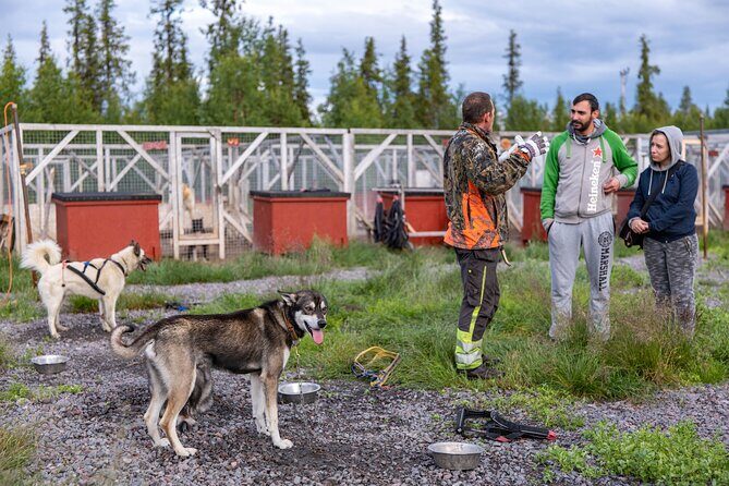 Meet 70 Huskies and Enjoy a short ATV Tour with the Huskies - Authentic Reviews and Highlights
