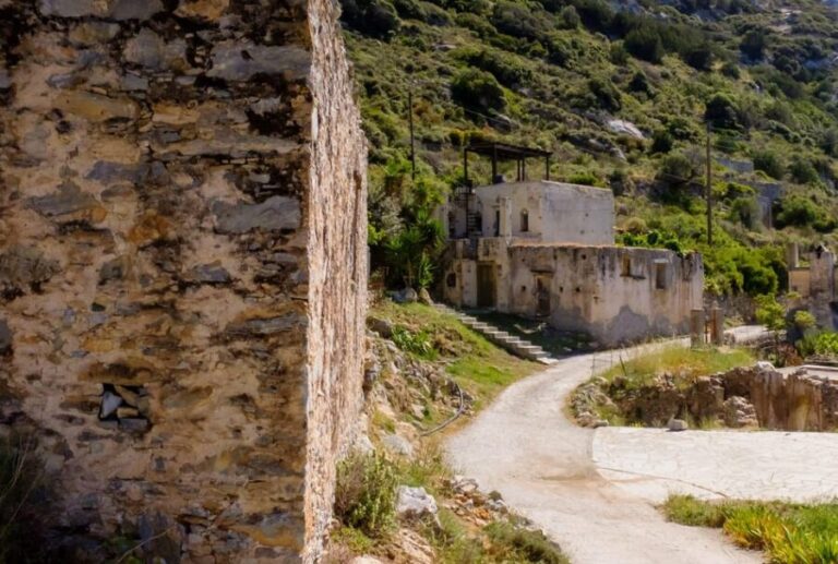 Meet the trees in Cyclades Hiking (Small group experience) - What Youll See and Do on the Tour