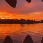 Mega Bite Dolphin Tour Boat in Clearwater Beach - Authentic Experiences and What Travelers Say