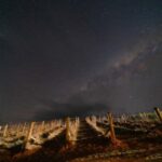 Megalong Valley: Wine Tasting and Stargazing Experience - A Full Look at the Megalong Valley Wine Tasting and Stargazing Experience