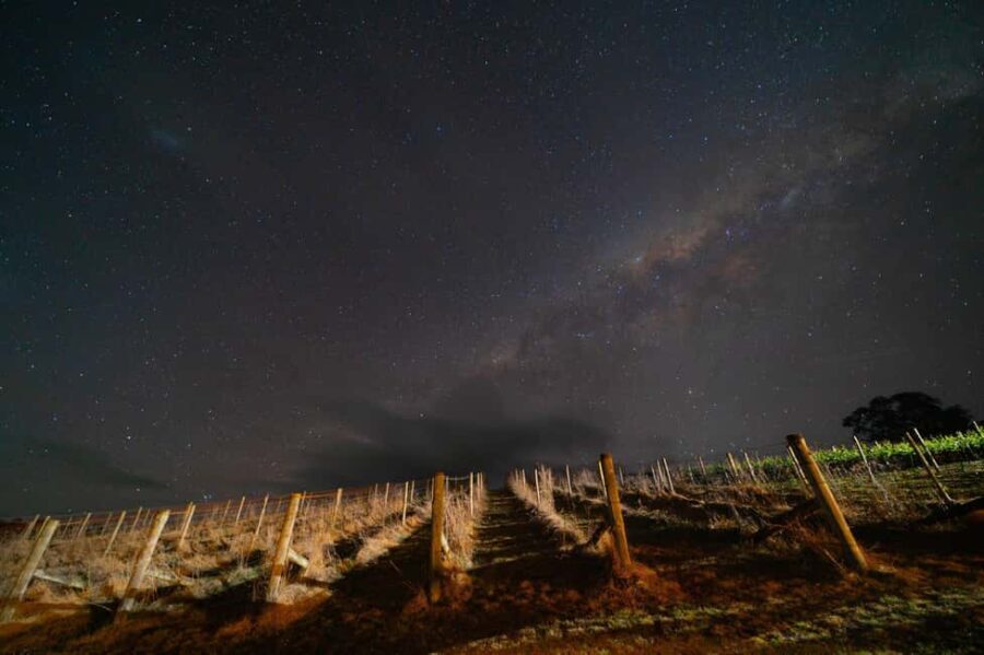 Megalong Valley: Wine Tasting and Stargazing Experience - A Full Look at the Megalong Valley Wine Tasting and Stargazing Experience