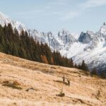 Megève: Beautiful Panoramas of Mont-Blanc E-bike Tour - Final Word