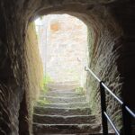 Meistersel Castle: adventure tour of the medieval castle - Full Breakdown of the Tour Experience