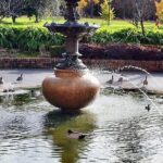 Melbourne and Moonlit Sanctuary Shore Excursion - Who Will Love This Tour?